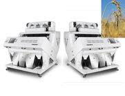 CE Optimized Carryover Wheat Color Sorter دقة رفض عالية